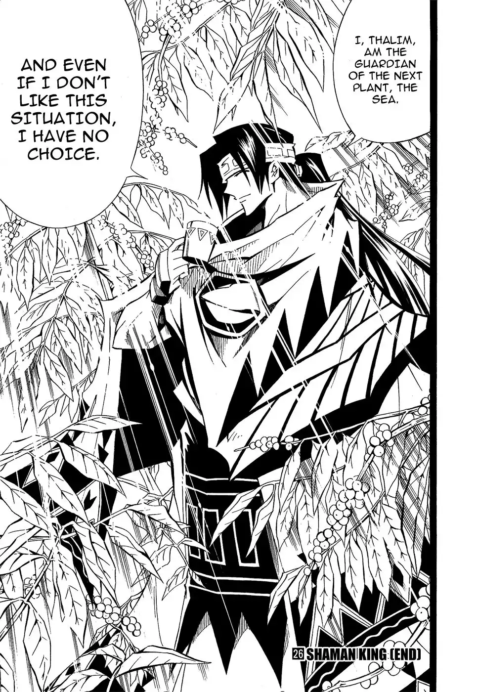 Shaman King Chapter 291 20